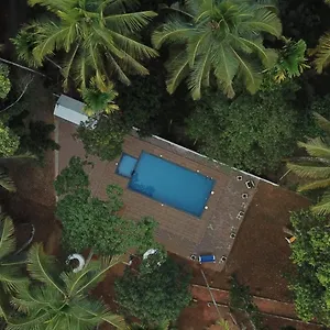 ** Bed & Breakfast Paddyfield India